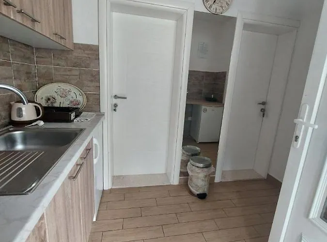 & Leon 招待所 内乌姆